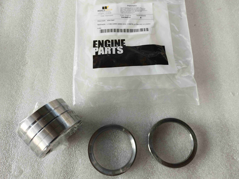  Cummins 6CT8.3 engine intake valve seat ring assembly/3908830