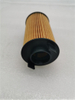 A700000017 Oil Filter for FOTON SAUVANA 
