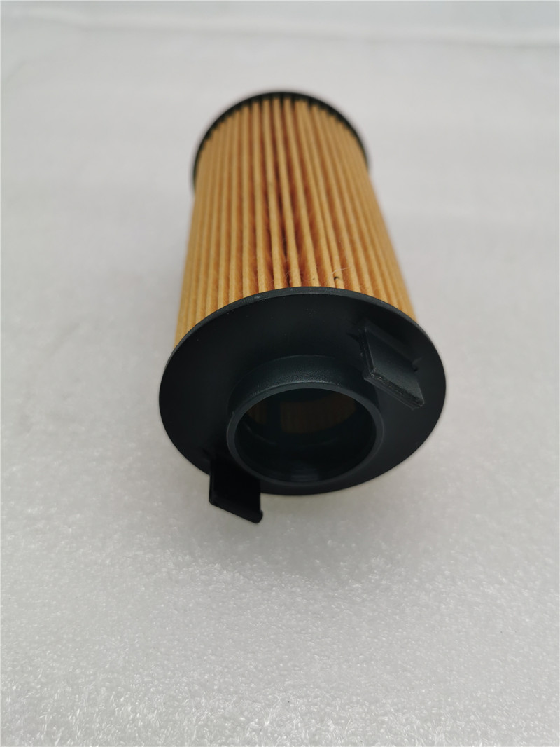 A700000017 Oil Filter for FOTON SAUVANA 