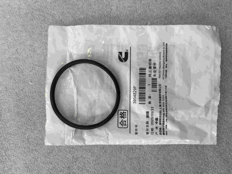 Thermostat Seal/3954829F